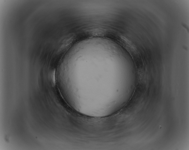 X0000093250028200709261728