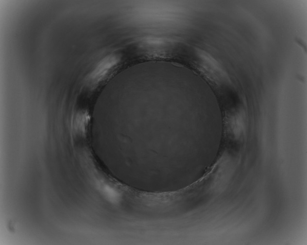 X0000093250029200709261728
