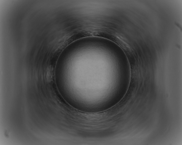 X0000093250030200709261728