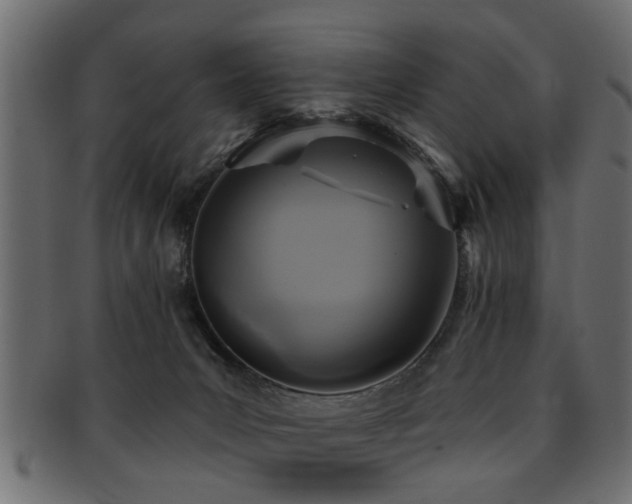 X0000093250031200709261728