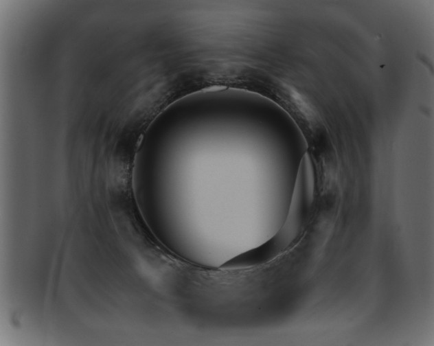 X0000093250033200709261728