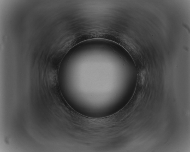 X0000093250034200709261728