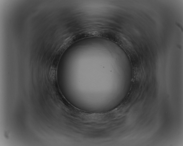 X0000093250036200709261728