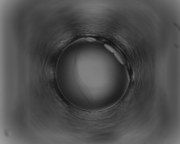 X0000093250039200709261728