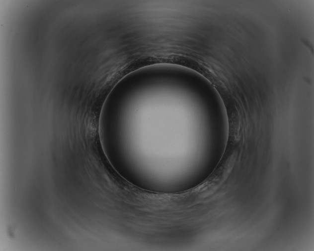 X0000093250040200709261728