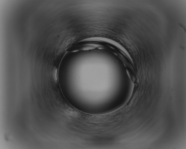 X0000093250041200709261728
