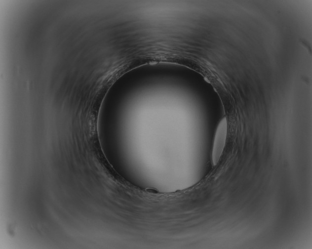 X0000093250043200709261728