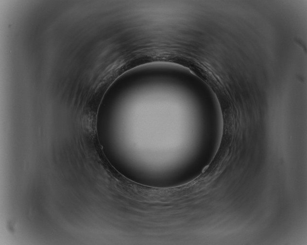X0000093250044200709261728