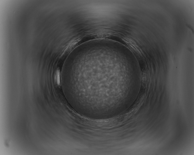 X0000093250046200709261728