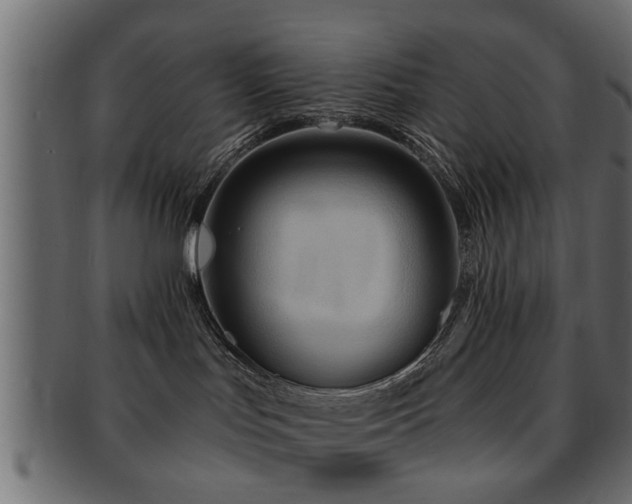 X0000093250047200709261728