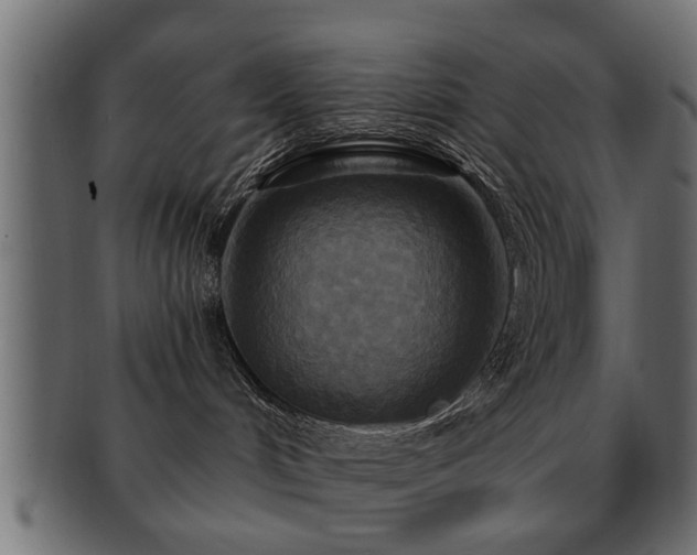 X0000093250048200709261728