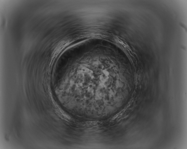 X0000093250049200709261727
