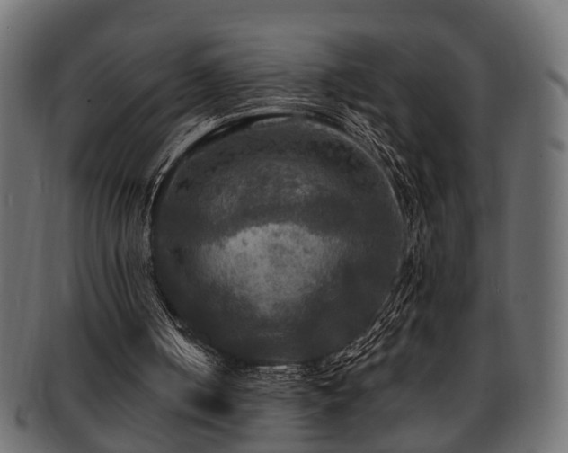 X0000093250050200709261727