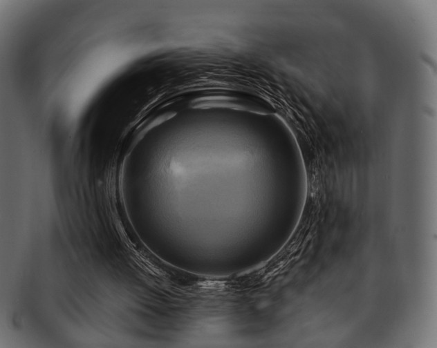 X0000093250052200709261727