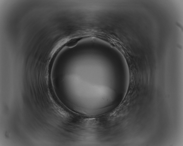 X0000093250054200709261727