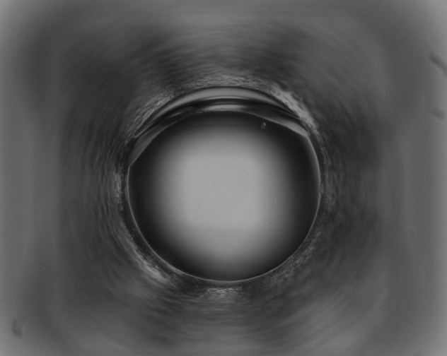 X0000093250057200709261727