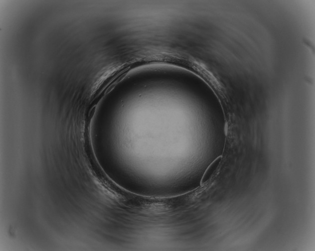 X0000093250058200709261727