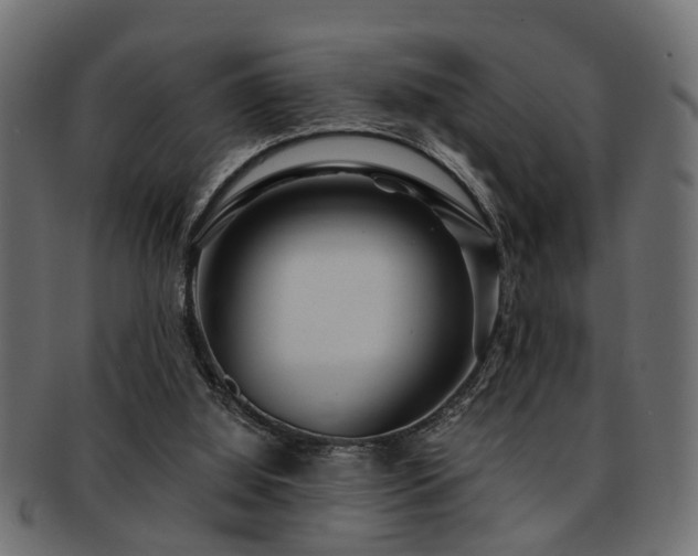 X0000093250060200709261727