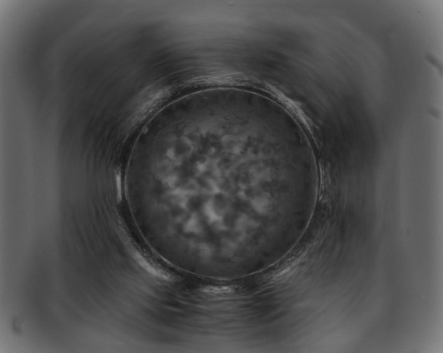 X0000093250061200709261727
