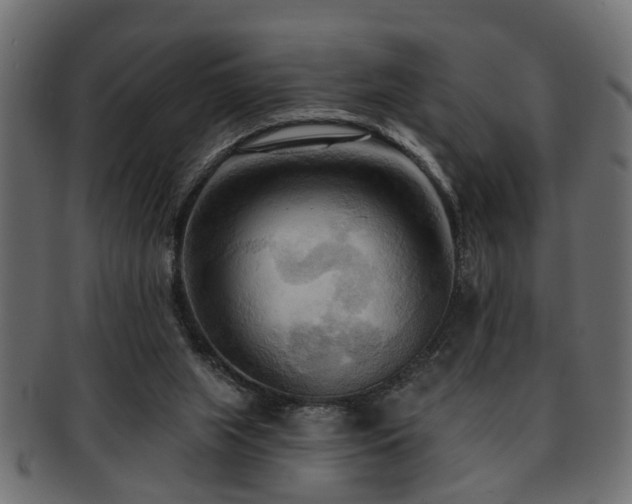 X0000093250063200709261727