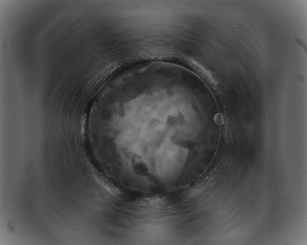 X0000093250065200709261727