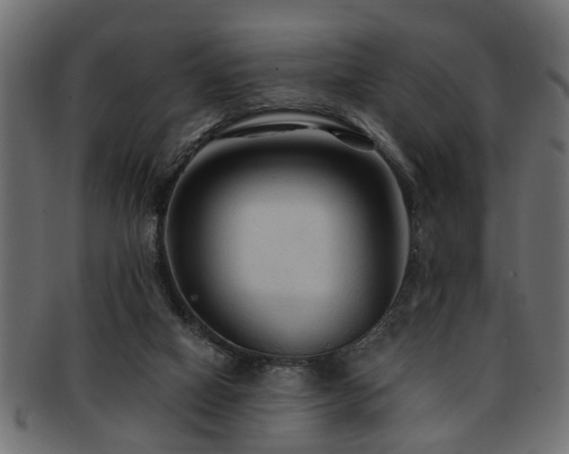 X0000093250066200709261727