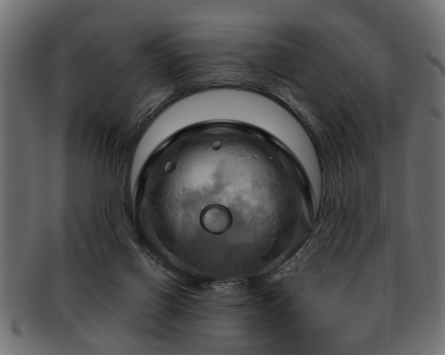 X0000093250070200709261727