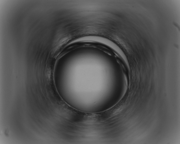 X0000093250072200709261727