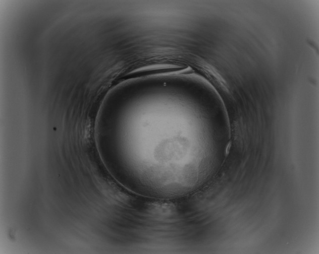 X0000093250073200709261727