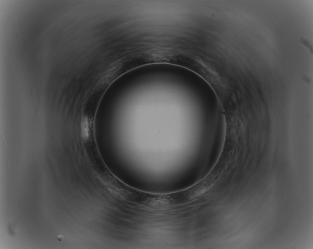 X0000093250075200709261727