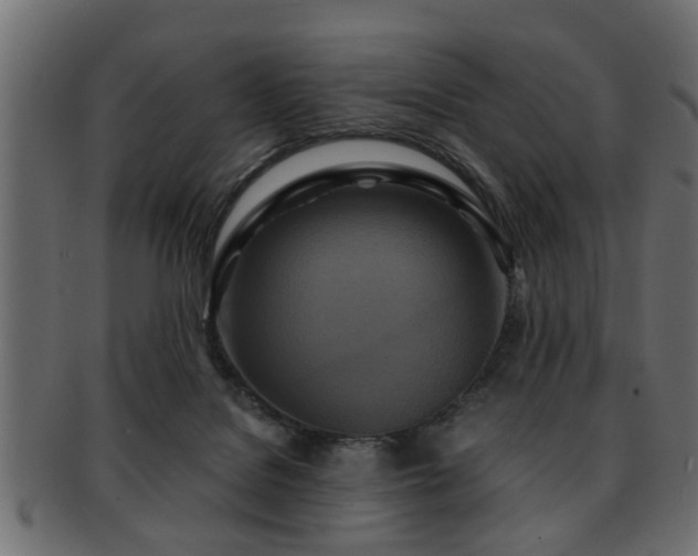 X0000093250076200709261727