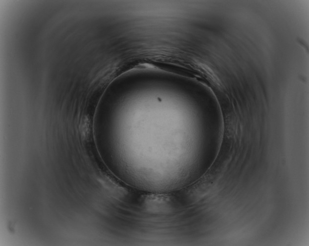 X0000093250077200709261728