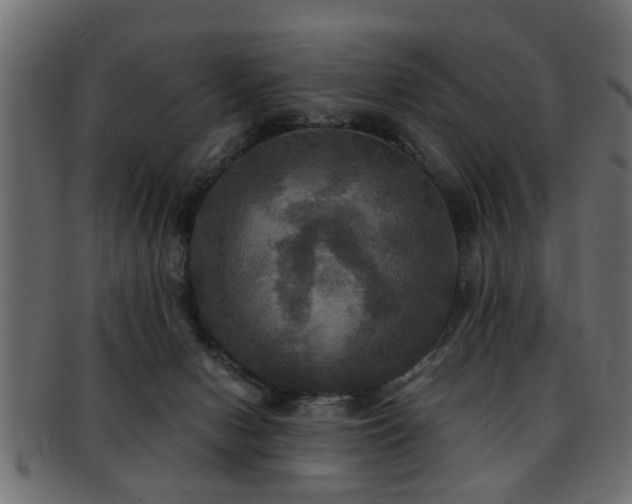 X0000093250078200709261728