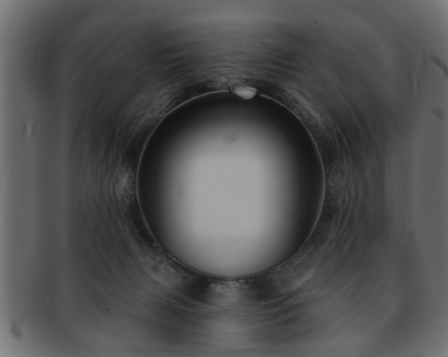 X0000093250079200709261728