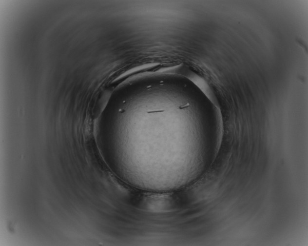 X0000093250081200709261728