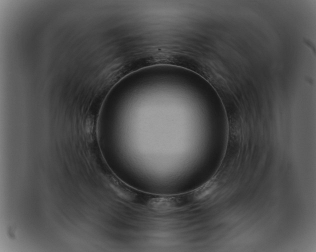 X0000093250082200709261728