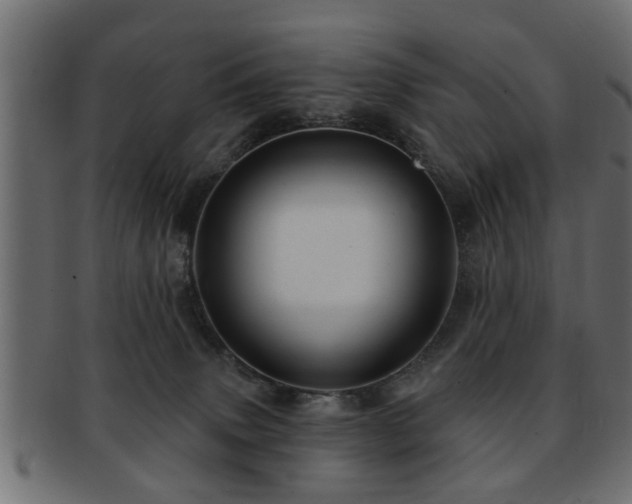 X0000093250083200709261728