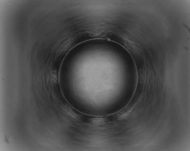X0000093250085200709261728