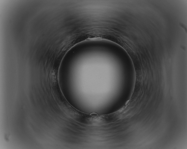 X0000093250086200709261728