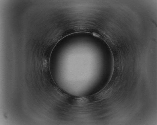 X0000093250087200709261728