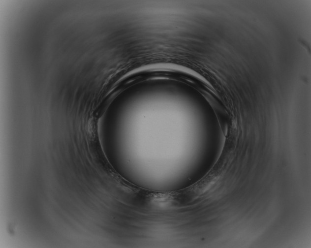 X0000093250088200709261728