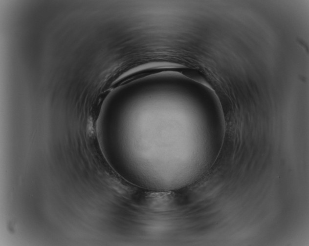 X0000093250089200709261728