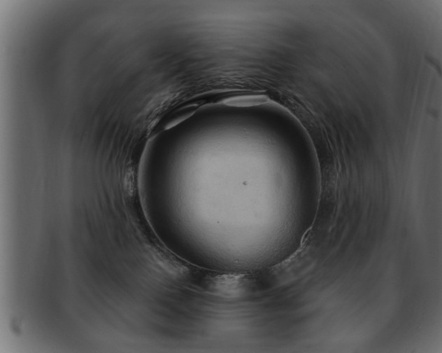 X0000093250090200709261728