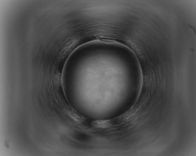 X0000093250093200709261728