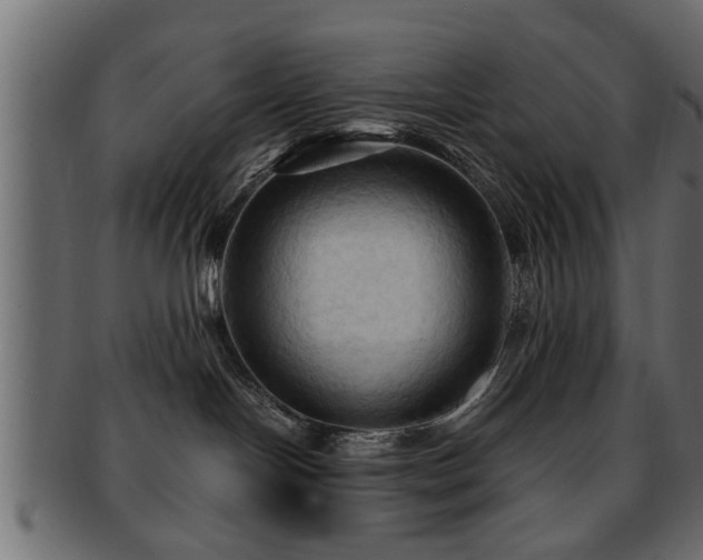 X0000093250094200709261728