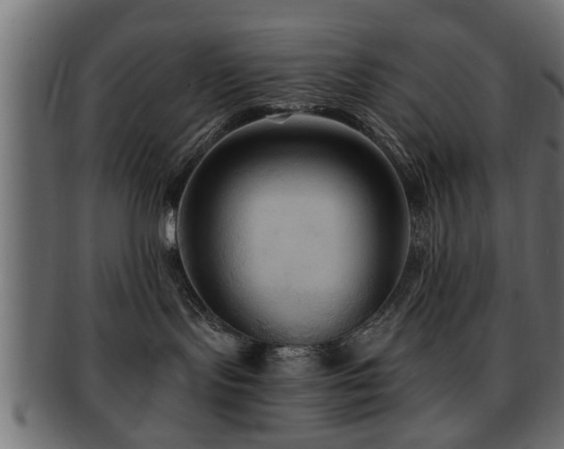 X0000093250095200709261728