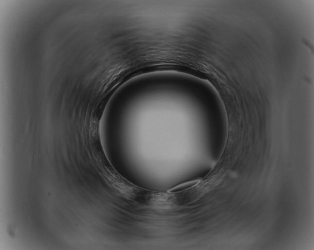 X0000093250096200709261728