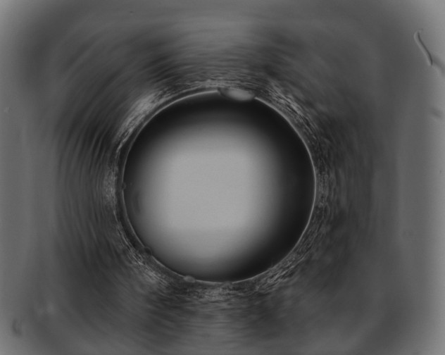 X0000093250098200709261727