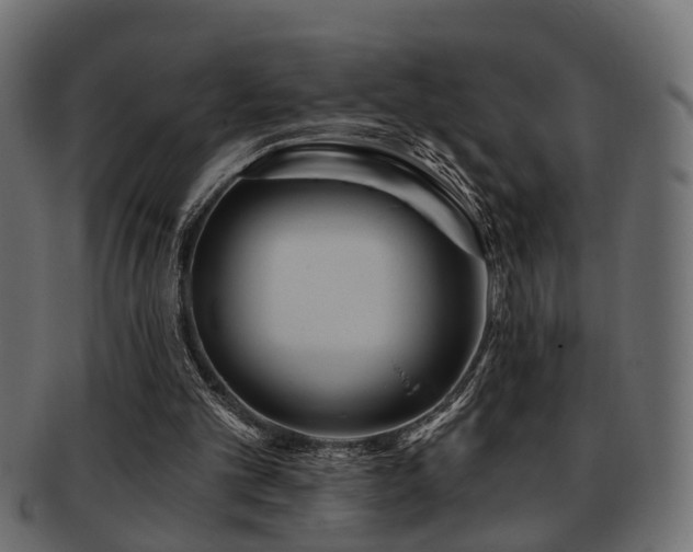 X0000093250101200709261727