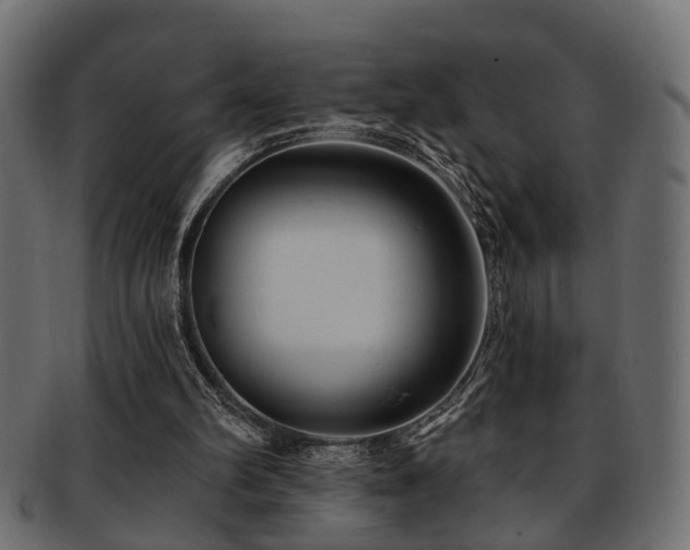 X0000093250102200709261727
